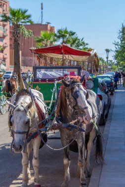 Eski Marakeş şehrinde turistler için araba 