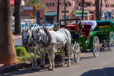 Eski Marakeş şehrinde turistler için araba 