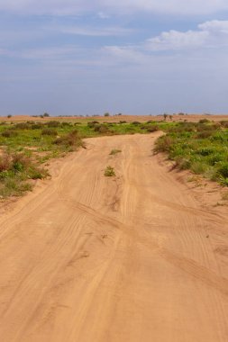 Fas, Sahra Çölü 'ndeki Chegaga kumulları.
