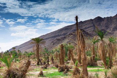 Tafraoute kasabasından görülen Fas Yüksek Atlas Dağları