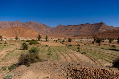 Tafraoute kasabasından görülen Fas Yüksek Atlas Dağları