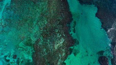 Güzel denizin havadan görünüşü 