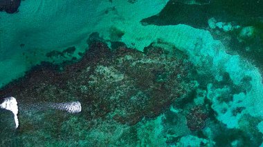 Güzel denizin havadan görünüşü 