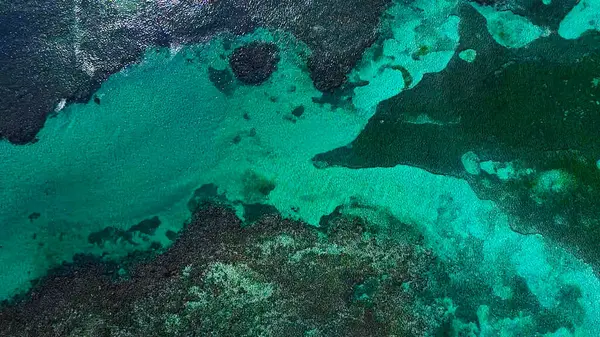 Güzel denizin havadan görünüşü 