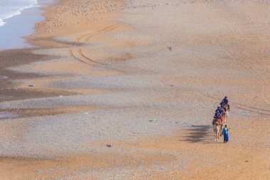 Essaouira, Fas: 29 Ekim 2024 - Essaouira, Fas yakınlarındaki bir plajda Dromedary karavanı