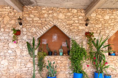 Essaouira 'nın büyüleyici mimarisi, Batı Fas' tan Essaouira 'ya saksı bitkileri ve detayları. 
