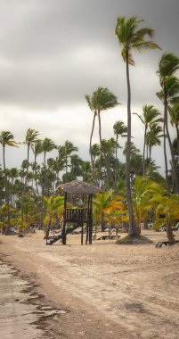 Punta Cana 'daki güzel Bavaro Sahili, Dominik Cumhuriyeti