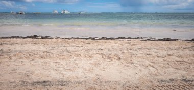 Punta Cana 'daki güzel Bavaro Sahili, Dominik Cumhuriyeti