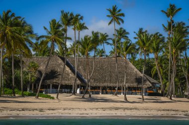 Punta Cana 'daki güzel Bavaro Sahili, Dominik Cumhuriyeti