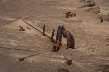 Kanada ormanında ilkbaharda küçük bir açıklıkta ölü bir ağaç kütüğü.
