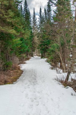Karlı bir kış yolu manzarası. 