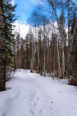 Karlı bir kış yolu manzarası. 
