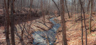 Quebec vilayetindeki Kanada ormanının kalbinde bahar akıntısı