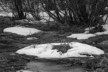 Kanada orman göleti hala ilkbaharda donmuş durumda. Quebec Eyaleti, Kanada. Siyah ve beyaz 