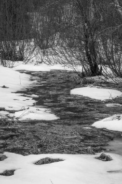 Kanada orman göleti hala ilkbaharda donmuş durumda. Quebec Eyaleti, Kanada. Siyah ve beyaz 