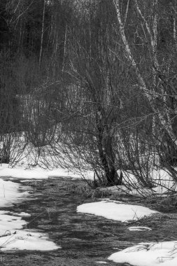 Kanada orman göleti hala ilkbaharda donmuş durumda. Quebec Eyaleti, Kanada. Siyah ve beyaz 