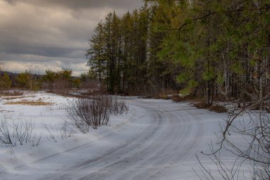 Kış ormanında karla kaplı bir yolun güzel manzarası 