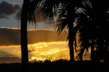 Gündoğumu Culebra Körfezi, Kosta Rika, Pasifik Okyanusu üzerinde.