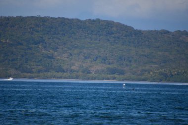Liberya, Kosta Rika: 23 Ocak 2025 - Kosta Rika 'da Pasifik Okyanusu' ndaki Culebra Körfezi 'nde eğlence teknesi