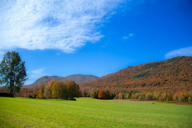 Quebec eyaletinde sonbaharda Kanada kırsalında güzel sonbahar renkleri