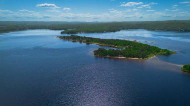 Güneşin altında ağaçlarla çevrili güzel bir nehir manzarası.