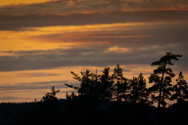 Milli parktaki bir ormanın üzerinde gün batımı gökyüzü. Doğada sakin bir akşam. 