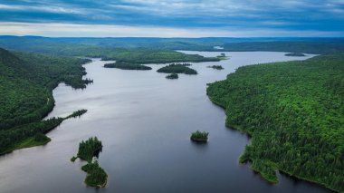 Ağacın ortasındaki büyük göl üzerindeki hava manzarası ulusal park manzarasını kapsıyordu. gündüz zamanı, yaz görüntüsü  