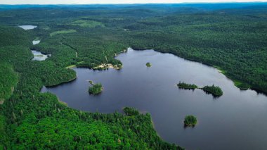 Yaz günü ağaçlarla kaplı bir milli parktaki büyük göllerin havadan görünüşü.