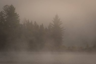 Akşam karanlığında gökyüzü, nehrin üzerinde sis ve ağaçlarla kaplı bir ada.