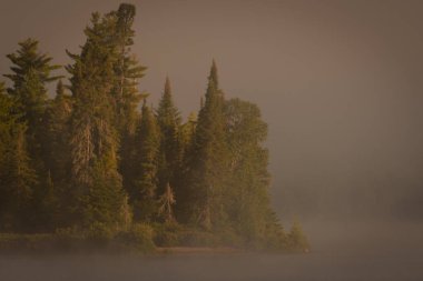 Akşam karanlığında gökyüzü, nehrin üzerinde sis ve ağaçlarla kaplı bir ada.