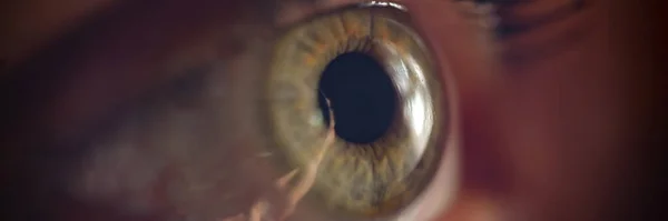 Female One Gray Green Eye Beam Light Closeup Hyperopia Myopia — стоковое фото