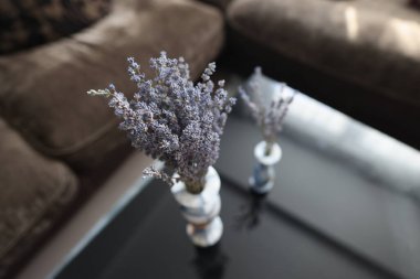 Aromatik kurutulmuş lavanta buketi ya da lavandin çiçeklerinin beyaz vazodaki görüntüsü. Lavandula angustifolia. Çiçek açan, Fransız romantizmi. Doğa manzarası