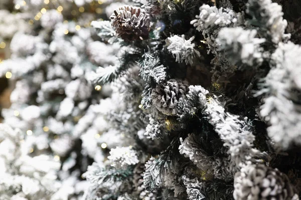 Fir branches in snow with christmas garlands closeup. Merry christmas and happy new year concept