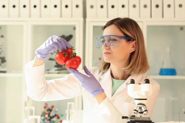 Scientist chemist in gloves and protective glasses holding tomatoes in laboratory. Production of fertilizers for soil fertility concept