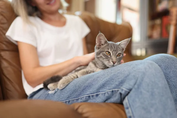 Close Female Sitting Sofa Petting Grey Cat Home Pets Animal — Stockfoto