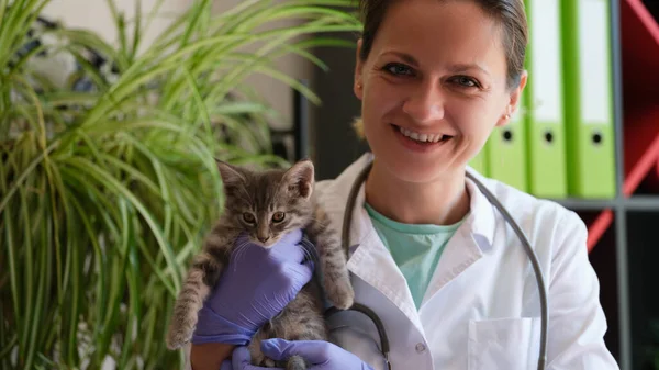 獣医クリニックで小さな子猫を抱えている女性獣医師の笑顔 獣医学とペット医療の概念 — ストック写真