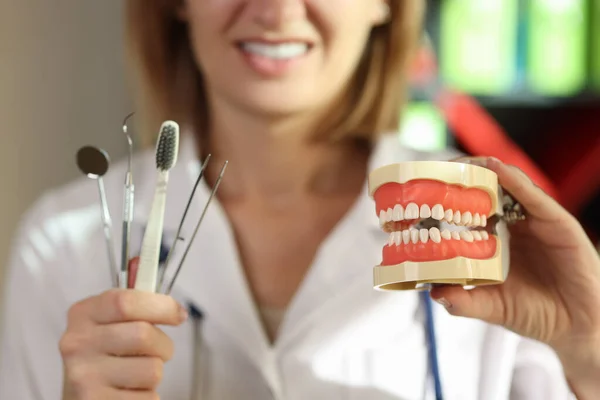 Positive Dentist Holds Teeth Care Tools Human Jaws Model Clinic — Stock Photo, Image