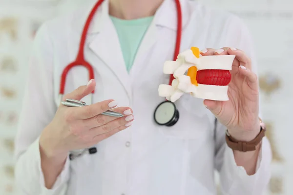 Läkare Med Stetoskop Håller Realistisk Modell Kotor Med Hand Behandling — Stockfoto