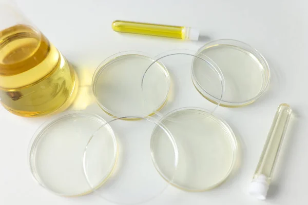 Placas Petri Recipientes Para Coleta Amostras Fluidos Corporais Para Pesquisa — Fotografia de Stock