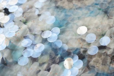 Parlayan pullar beyaz ve mavi renklerde parıldıyor. Arka plan olarak giysi ve malzeme dokusu için tasarlanmış dekorasyon. Katalog fotoğraf örneği