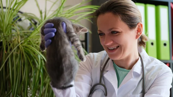 小さな子猫を手にした笑顔の女性獣医師の肖像画 獣医クリニックとペットケアのコンセプト — ストック写真
