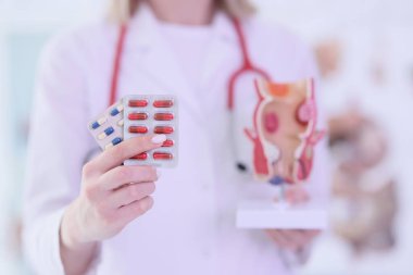 Kadın doktor elinde haplar ve rektum modeli tutuyor. Kadın doktor üniforması rektal hastalıklar için reçete yazıyor.