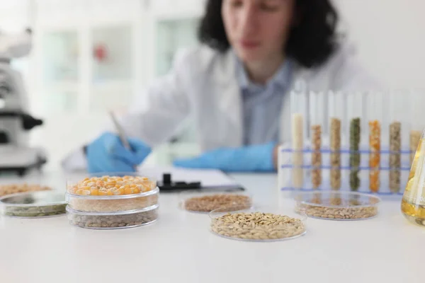 stock image Focused male scientist writes notes while examining crops for scientific purposes. Man sits at table near glassware with grains in laboratory