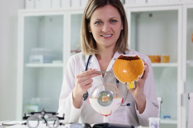 Pozitif göz doktoru, klinikteki masada oturan gerçekçi göz bebeğinin içine tükenmez kalem doğrultuyor. Kadın doktor insan gözünün yapısını açıklıyor