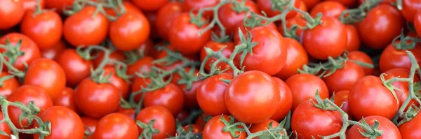 Close Fresh Ripe Cherry Tomatoes Green Leaves Market Showcase Harvesting — Stockfoto