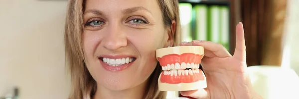 人間の顎の手の人工モデルを保持する医師歯科医 白い笑顔の概念を取得する方法 — ストック写真