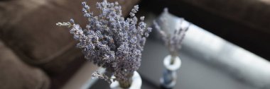 Aromatik kurutulmuş lavanta buketi ya da lavandin çiçeklerinin beyaz vazodaki görüntüsü. Lavandula angustifolia. Çiçek açan, Fransız romantizmi. Doğa manzarası