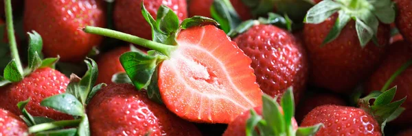 Ganze Und Scheiben Geschnittene Frische Reife Erdbeeren Als Hintergrund Nahaufnahme — Stockfoto