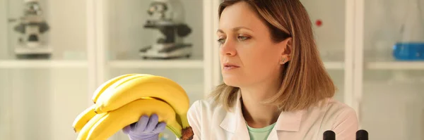 Científico Laboratorio Mira Los Plátanos Primer Plano Certificación Frutas Examen —  Fotos de Stock