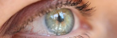 Green iris shot with reflection from window. Human eye close up.